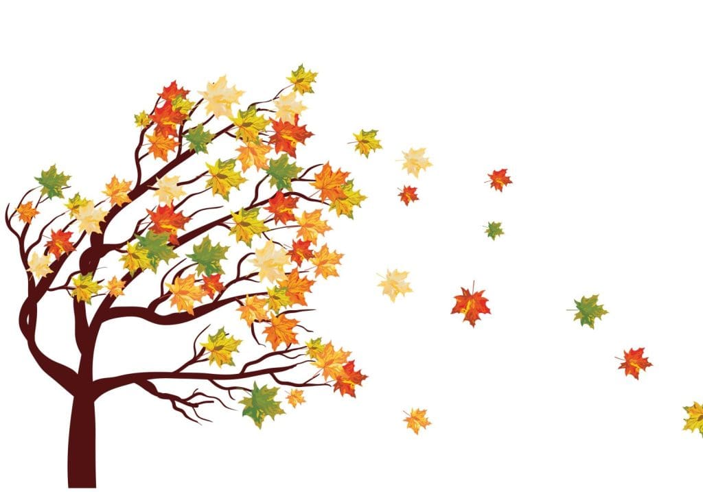 Color-Leaves