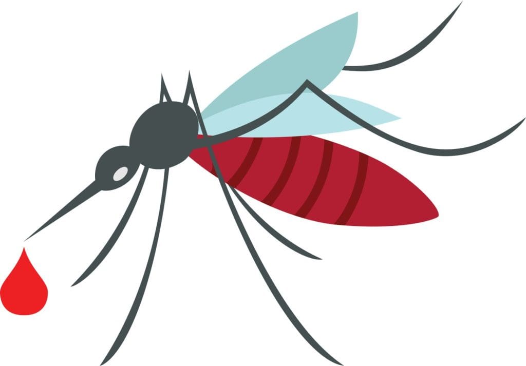 WEB-Mosquito