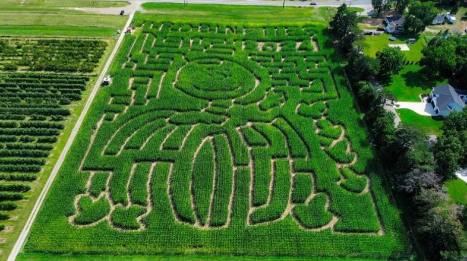 WEB-Peanuts-Corn-Maize