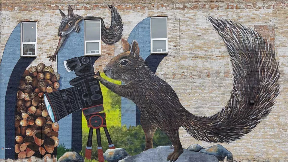 WEB-Squirrel-Mural