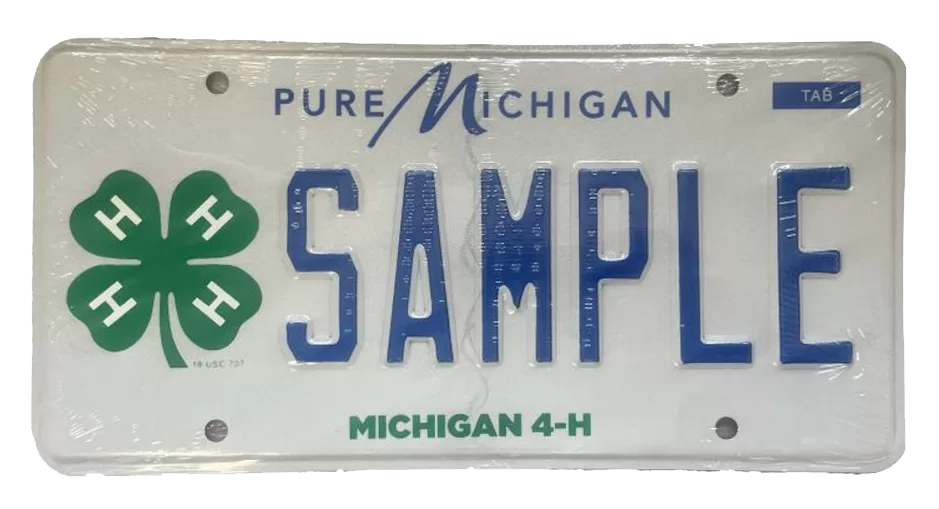 WEB-4H-Plate