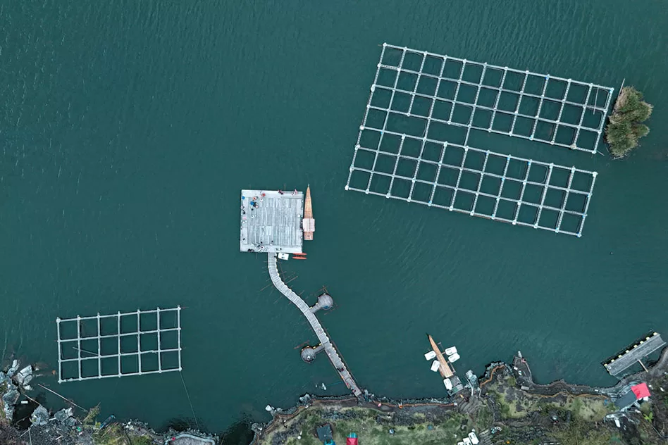 WEB-Earth-Talk-mariculture