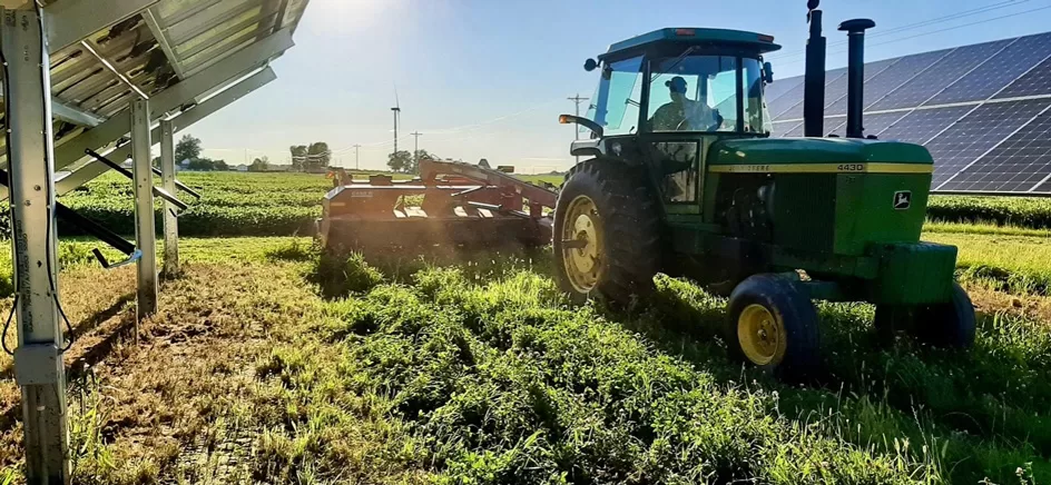 WEB-MSU-Alfalfa-Harvest