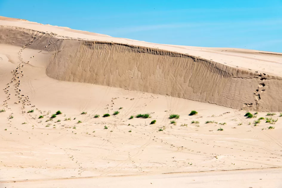 WEB-Sand-Dunes
