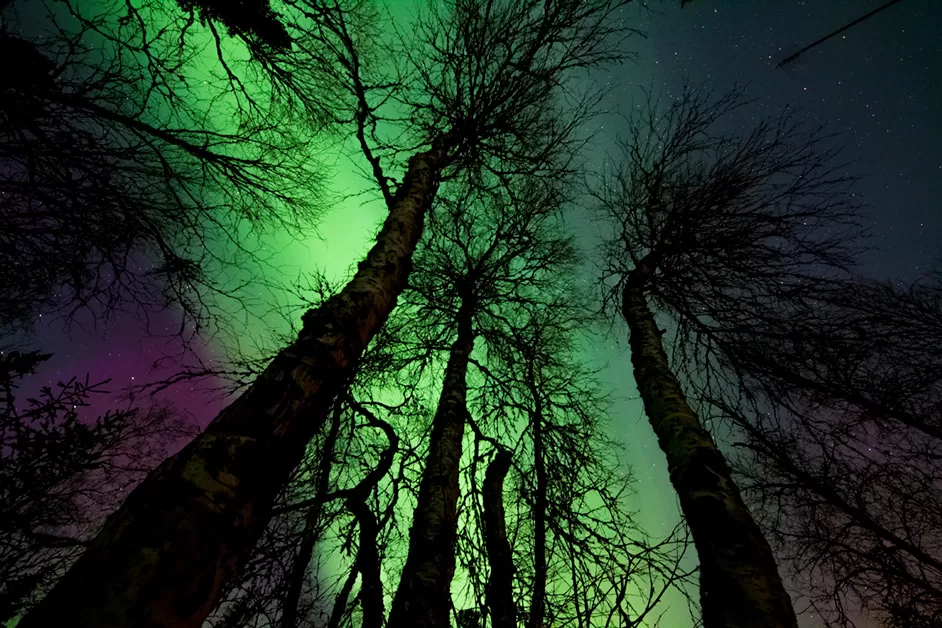 WEB-Earth-Talk-Aurora