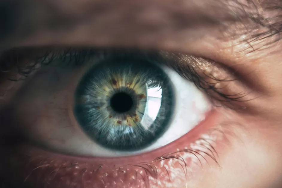 WEB-Earth-Talk-Eyes