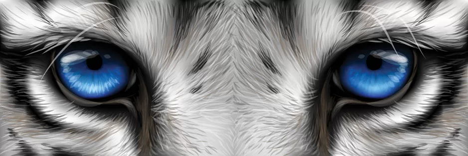 WEB-Tiger-Eyes