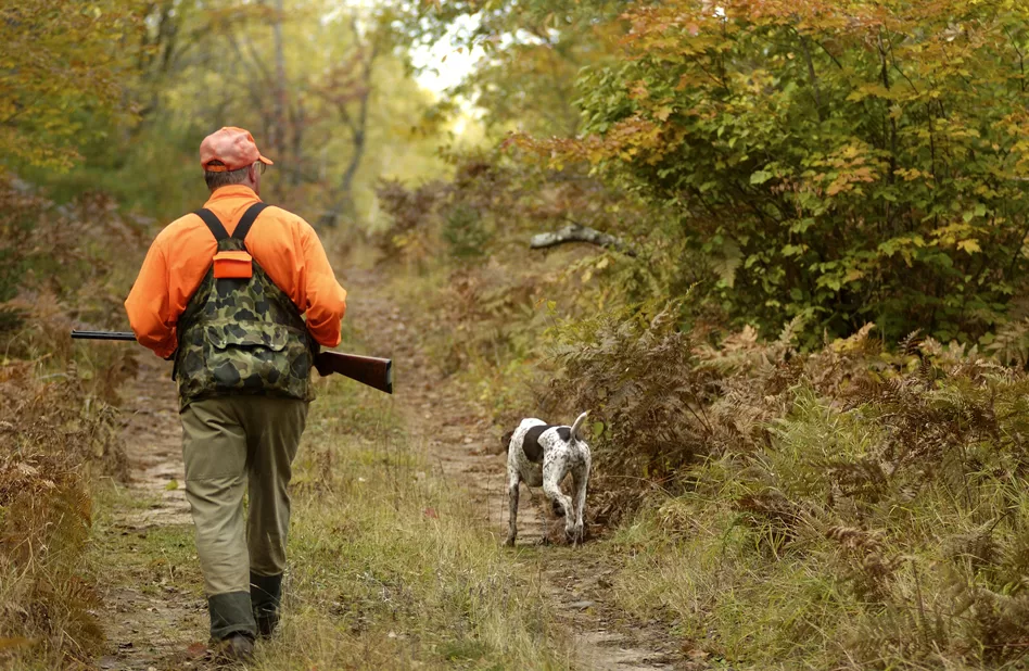 WEB-DNR-Grouse-Hunting