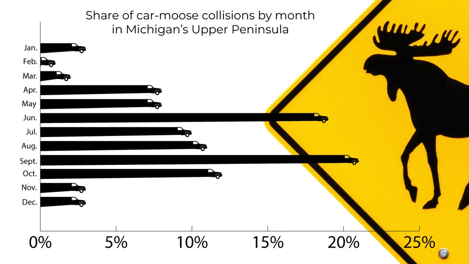 WEB-DNR-Moose-car-stats