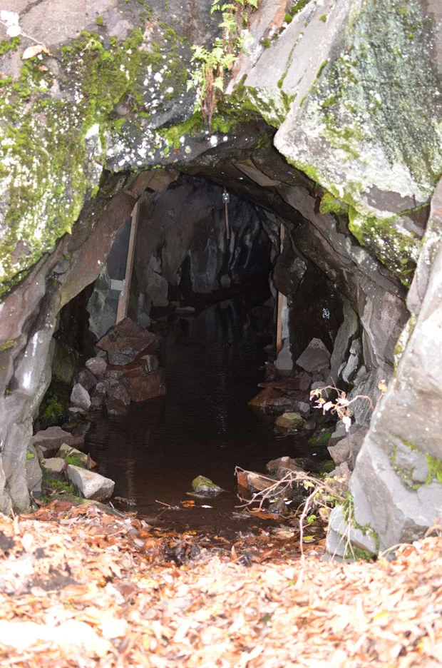 WEB-DNR-Bat-Cave