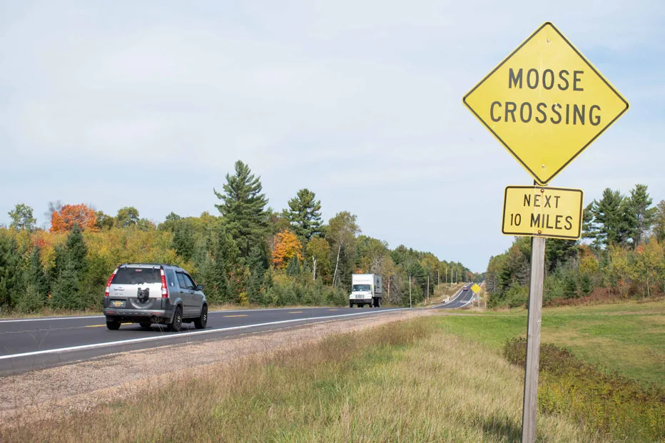 WEB-DNR-Moose-Crossing